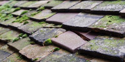 Groombridge roof repair costs